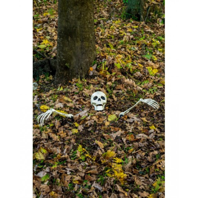 Kostra Halloween skeleton