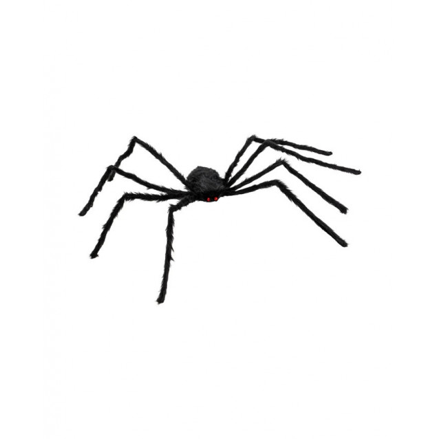 Pavúk 120cm